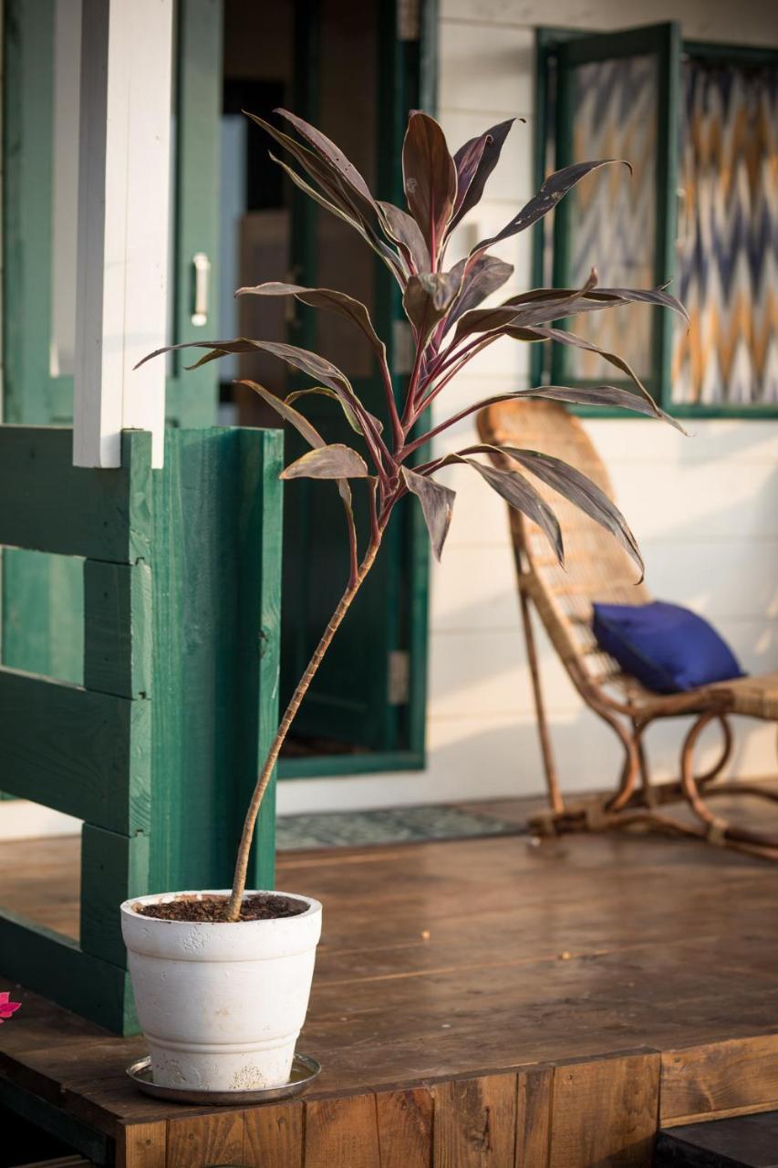 Nest Cottages Канакона Екстериор снимка
